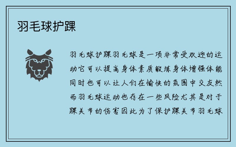 羽毛球护踝