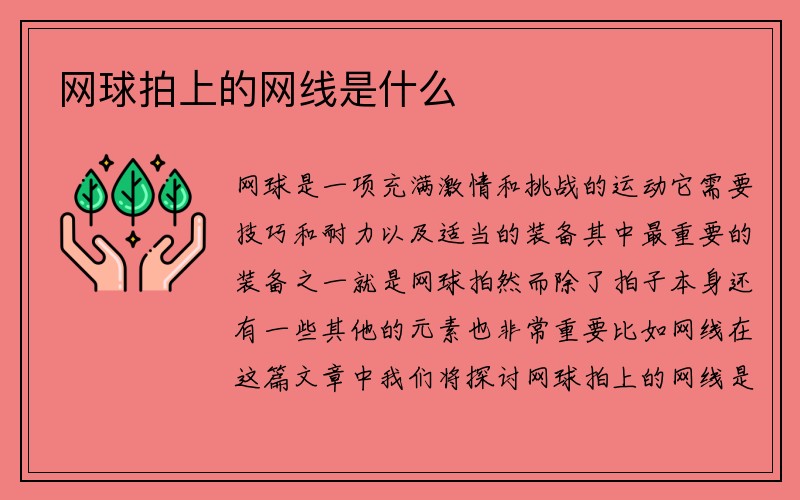 网球拍上的网线是什么